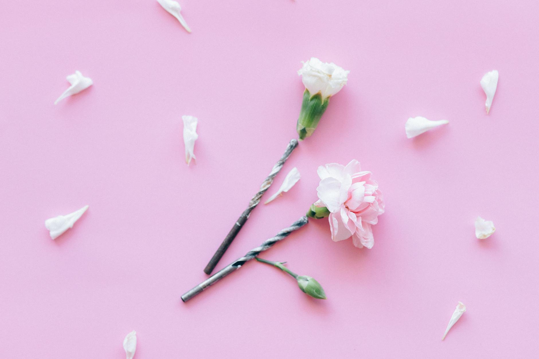 Two decorative flowers with green stems placed on a pink background, surrounded by scattered flower petals.