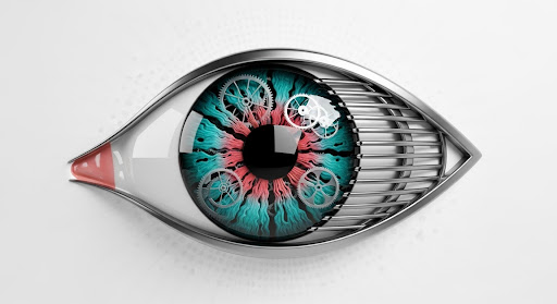 Digital Sovereignty: Analyzing the Impact of European Data Privacy Laws on Individualism